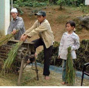 Hình ảnh tuổi thơ gắn liền với máy tuốt lúa