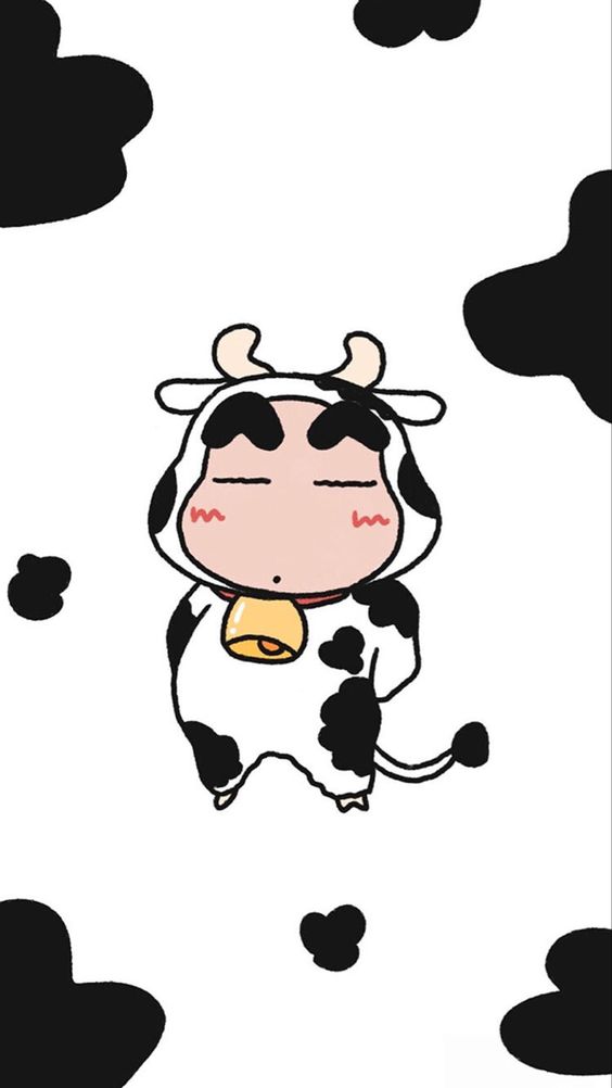 Hình nền bò sữa Shin