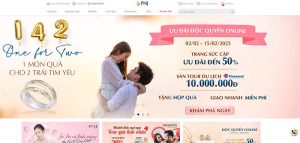 Website PNJ